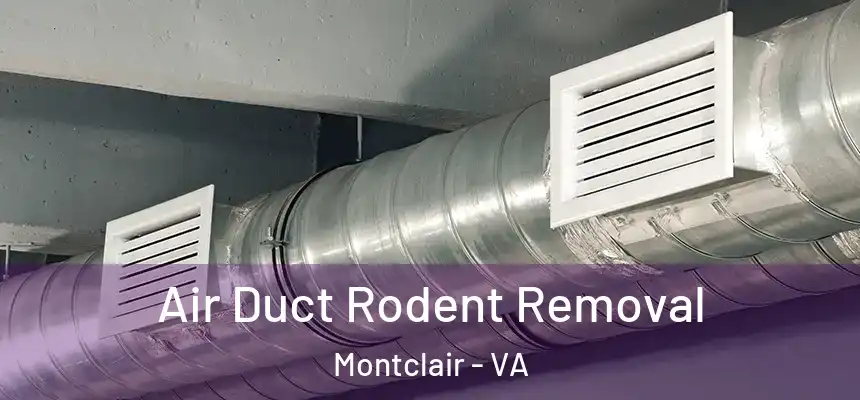Air Duct Rodent Removal Montclair - VA