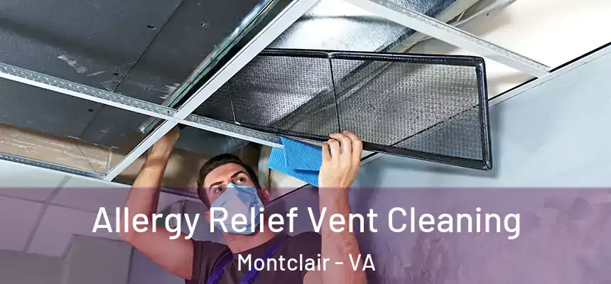  Allergy Relief Vent Cleaning Montclair - VA