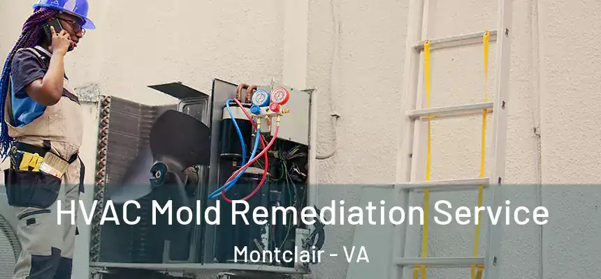  HVAC Mold Remediation Service Montclair - VA