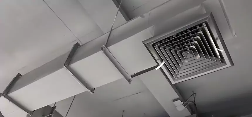 Our Pest Removal From Ducts Services in Montclair, VA