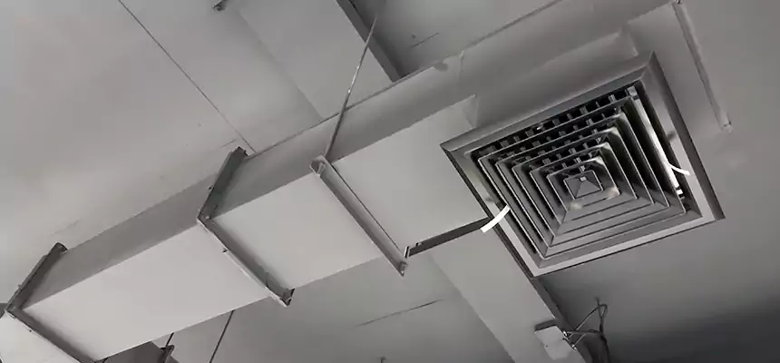 Our Rodent Droppings In Vents Services in Montclair, VA