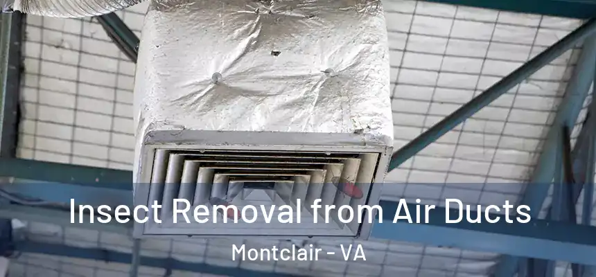 Insect Removal from Air Ducts Montclair - VA