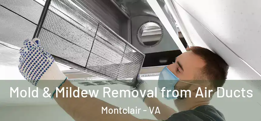  Mold & Mildew Removal from Air Ducts Montclair - VA