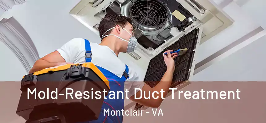 Mold-Resistant Duct Treatment Montclair - VA
