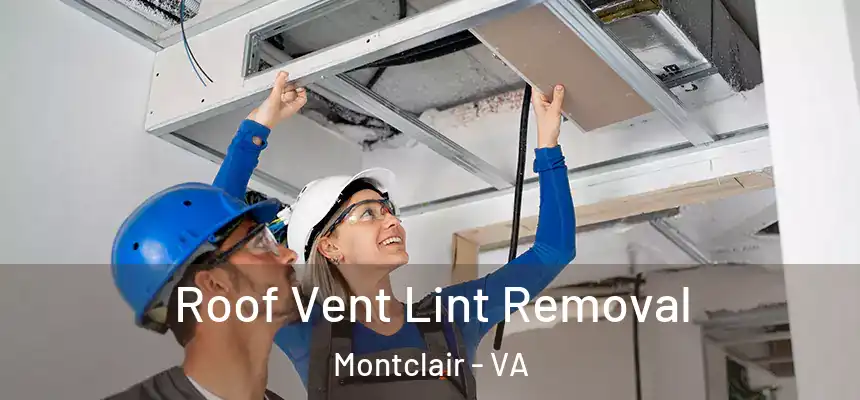  Roof Vent Lint Removal Montclair - VA