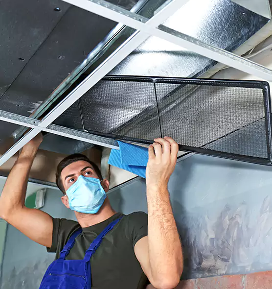 Professional Air Duct Pollen Cleaning in Montclair, VA