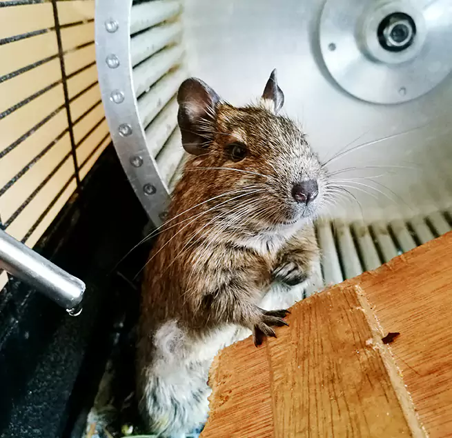 Why Homeowners & Businesses Trust Us Montclair, VA?