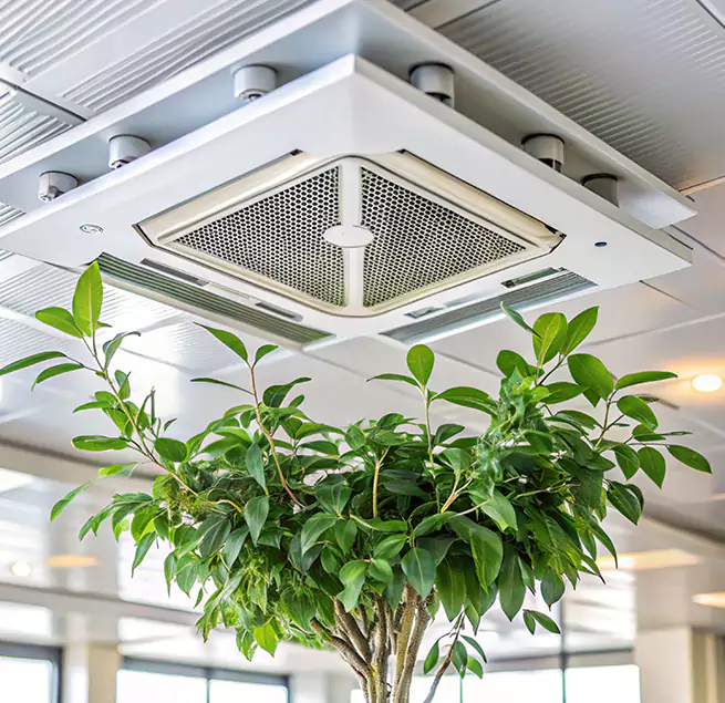 Why Homeowners & Businesses Trust Us in Montclair, VA?