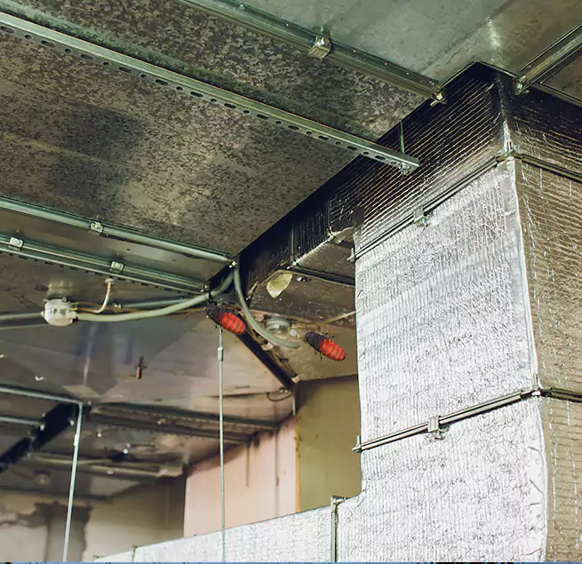 Why Homeowners & Businesses Trust Us Montclair, VA?